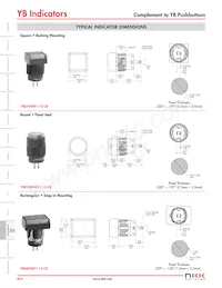 YB03WKW01-6B-JB Datasheet Page 6