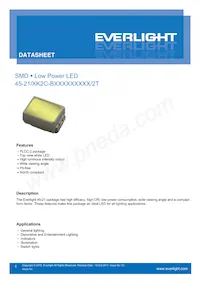 45-21/QK2C-B56702C4CB41/2T Datasheet Copertura