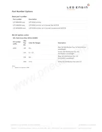 LZP-W0MD00-0000 Datasheet Pagina 2