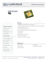 SSM-80-W35M-T91-LA601 Datasheet Copertura