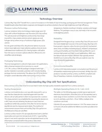 SSM-80-W35M-T91-LA601 Datasheet Pagina 2