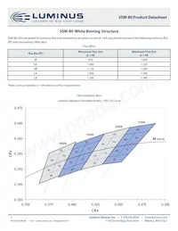 SSM-80-W35M-T91-LA601 Datasheet Pagina 3