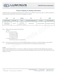 SSM-80-W35M-T91-LA601 Datasheet Pagina 6