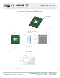 SSM-80-W35M-T91-LA601 Datasheet Pagina 10