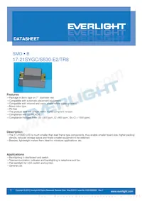 17-21SYGC/S530-E2/TR8 Datenblatt Cover