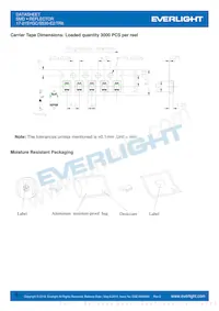 17-21SYGC/S530-E2/TR8 Datenblatt Seite 6