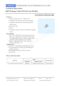 19-213SYGC/S530-E2/TR8 Datasheet Cover