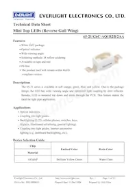 65-21/G6C-AQ1R2B/2AA Datasheet Copertura