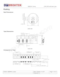 QBLP651-IW Datasheet Pagina 11