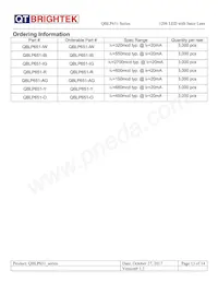 QBLP651-IW Datenblatt Seite 13