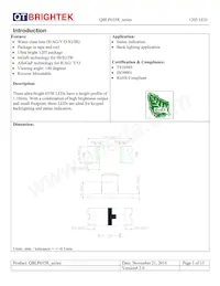 QBLP655R-IG Datasheet Pagina 3