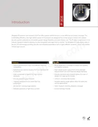 BXIR-85120AA-0900 Datasheet Page 2