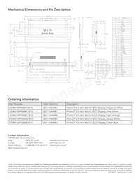 OS096016PP08MB2B10 Datasheet Pagina 2