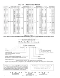 100C271GW2500X Datasheet Pagina 2