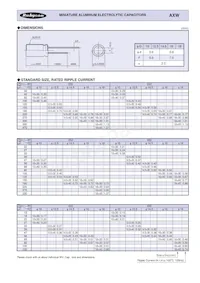 420AXW82MEFC18X30 Datasheet Pagina 2