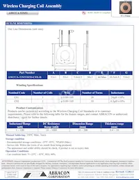 AWCCA-53N53H50-C01-B Datasheet Pagina 2