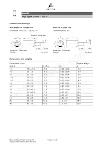 B43858C9107M000 Datasheet Pagina 4