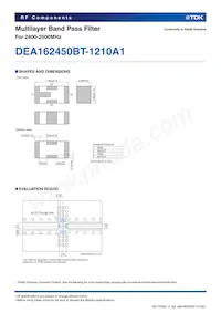 DEA162450BT-1210A1 Datasheet Pagina 2