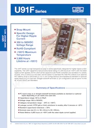 E91F451VNT182MCA5T Datasheet Pagina 4