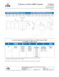 FC5BQCCMC10.0-T1數據表 頁面 2