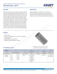 PEH169VH368VMU2 Datasheet Copertura