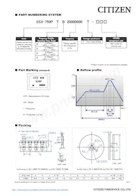 SSX-750PBE16777216T Datenblatt Seite 2