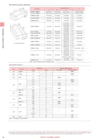 TVS042CG100JC-FW Datenblatt Seite 4