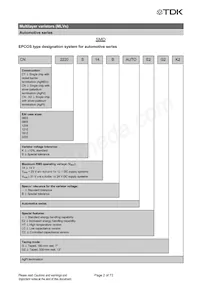 B72510T2170K062 Datasheet Pagina 2