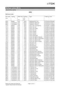 B72510T2170K062 Datasheet Pagina 12