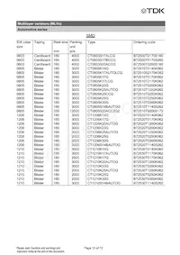 B72510T2170K062 Datasheet Pagina 13