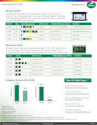 C-51505NFJ-SLW-APN Datenblatt Seite 2