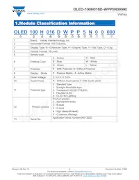 O100H016DWPP5N0000 Datasheet Page 3