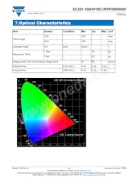 O100H016DWPP5N0000 Datasheet Pagina 10