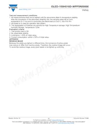 O100H016DWPP5N0000 Datasheet Page 13