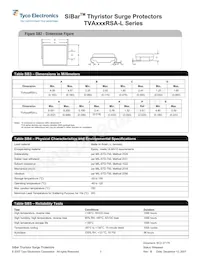 TVA300RSA-L Datasheet Page 3
