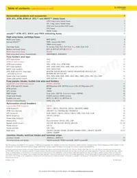 CB22901-1.5 Datasheet Page 4