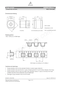 B88069X1640T902 Datasheet Page 3