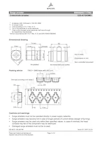 B88069X6771T902 Datasheet Pagina 3