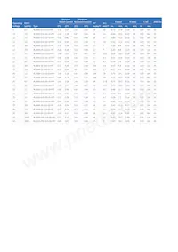 RL6315-250-110-240-PTF Datenblatt Seite 2