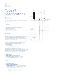 YPCL0010T Datasheet Pagina 2