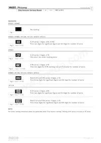 AF2512JK-0710ML Datasheet Pagina 3