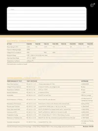 FAE100JR-73-10R Datasheet Page 2