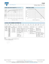 PNM0603E2002BST5 Datasheet Pagina 3