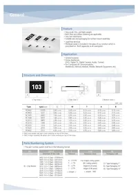 RUW3216FR100CS Datenblatt Seite 8