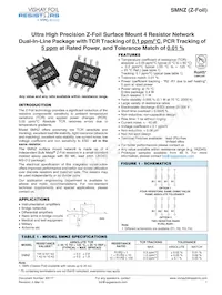 Y1747V0613AQ9R Datasheet Copertura