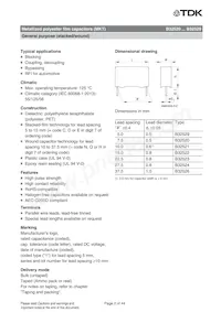 B32526R0227A000 Datasheet Pagina 2