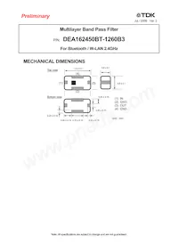 DEA162450BT-1260B3數據表 封面