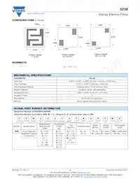 SFM10000FKANHWS Datenblatt Seite 2