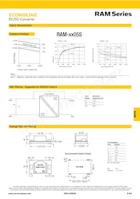 RAM-2405S/H Datasheet Pagina 2
