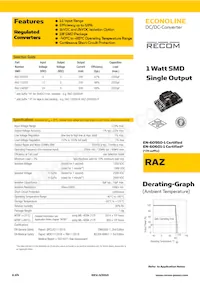 RAZ-2405S/H Datasheet Cover